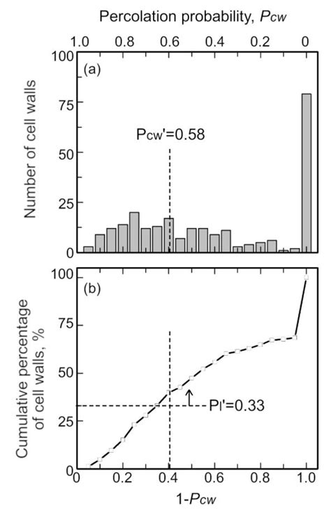 Percolation of Primary Crystals in Cell Walls of Aluminum Alloy Foam ...