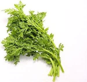 VibeX PAU-79 - Edible Shungiku Chrysanthemum (Tong Ho) Green - (90 ...