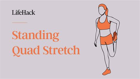 12 Stretches for Flexibility (For All Fitness Levels) - LifeHack