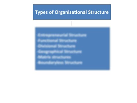 Organisational Structures Types 的图像结果