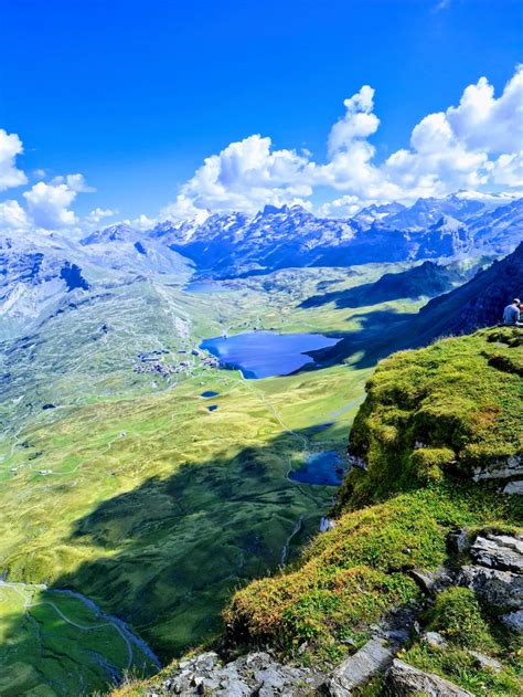 String Alignment Recurve 的图像结果