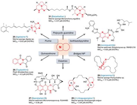 The Antitubercular Activities of Natural Products with Fused-Nitrogen ...