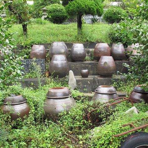 GEOJE FOLK MUSEUM (2026) All You Need to Know BEFORE You Go (with ...