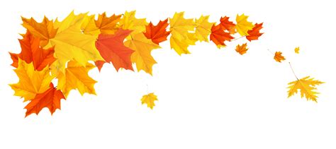 Golden Autumn Leaves, Fall Leaf Border, Nature Decor PNG