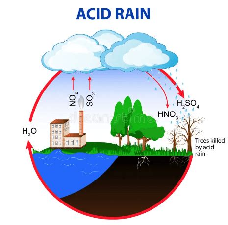 Acid Rain: Definition, Effects, and Examples