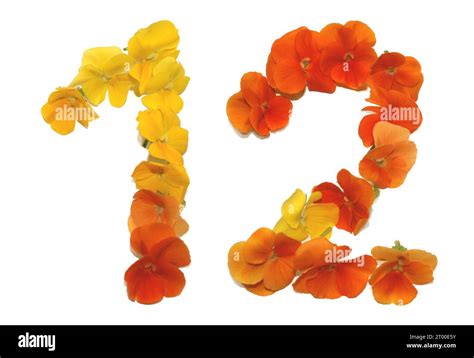 Image result for Yellow Number 12