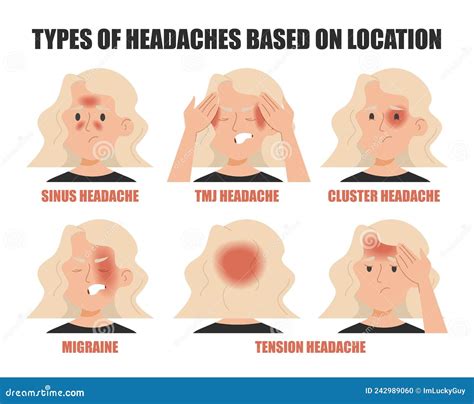 Types of Headache Based on Location Isolated Stock Vector ...