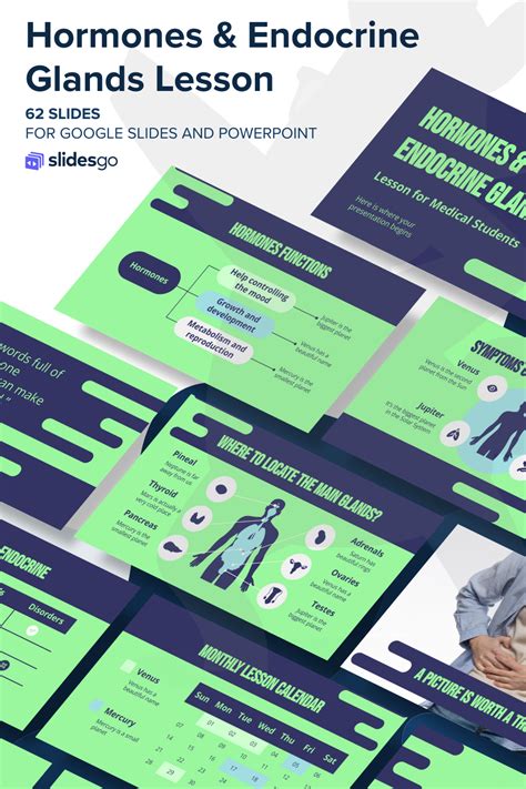 Image result for Endocrine System Lesson