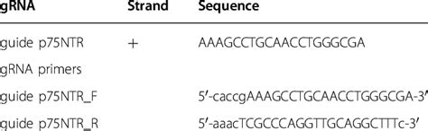 Guide RNA Function 的图像结果