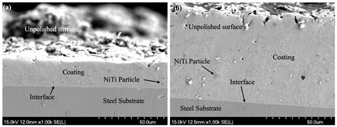 Erosion–Corrosion of Novel Electroless Ni-P-NiTi Composite Coating