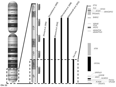 Immune Deficiency in Jacobsen Syndrome: Molecular and Phenotypic Characterization