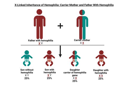 What We Treat: Bleeding Disorders | Hemophilia Outreach Center