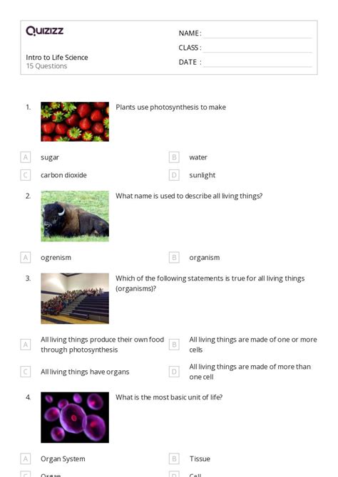 50+ the digestive and excretory systems worksheets on Quizizz | Free ...