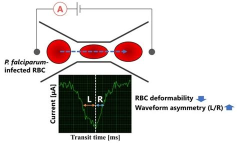 Measuring Asymmetric Ionic Current Waveform Through Micropores for ...