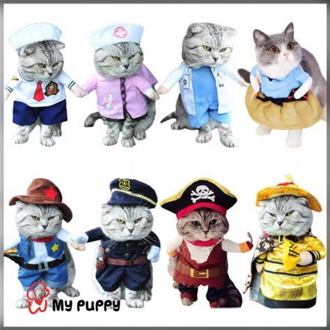 Jual Kostum anjing kucing/ pirate's costume for dog cat - M, QI PAO ...