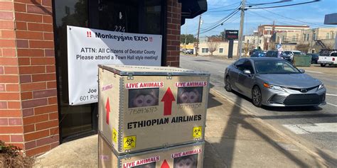 UPDATE: DA files new motion in monkey facility battle, Decatur Co ...