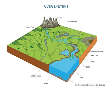 River systems and drainage basin educational structure illustration ...