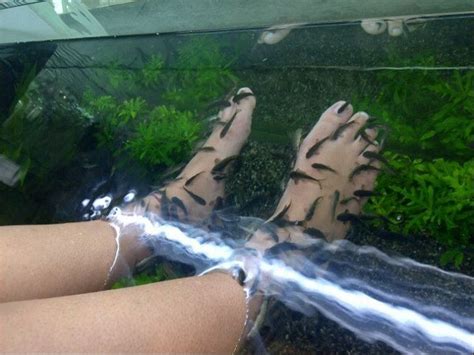This woman lost her toenails after a fish pedicure