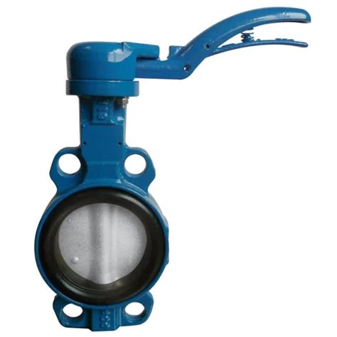 Butterfly Valve Manufacturer & Supplier, Butterfly Valve India