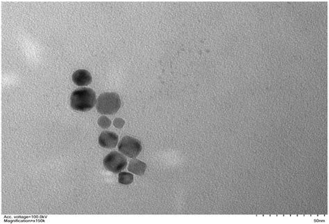 Plants | Special Issue : Effects of Nanoparticles on Plant Growth and ...