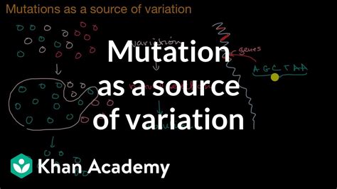 Image result for Sources of Mutation
