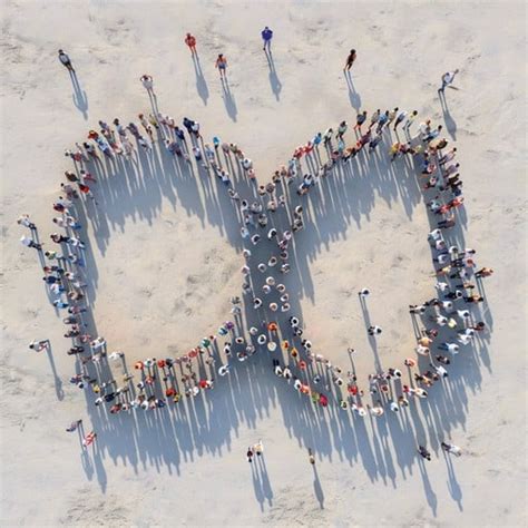 Butterfly Polygon Unity in Unity 的图像结果