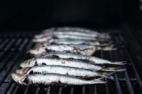manfaat ikan ayam