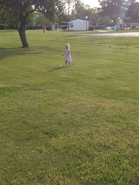 Mill Dam Park - Wollner Dr, Mt Holly, NJ 08060 - Hours, Directions, Reviews