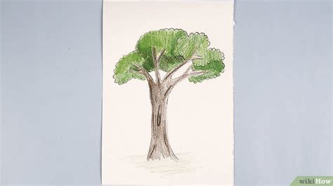 Graph Using Equation to Draw Simple Tree 的图像结果