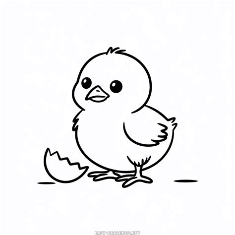 Chicken Easy Drawings | Easy Drawings