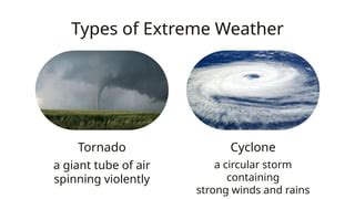 Extreme Weather Types 的图像结果