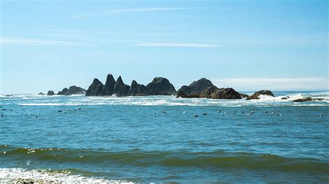 Seal Rock, OR Vacation Rentals: house rentals & more | Vrbo
