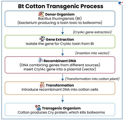 Obesity | Current Affairs | Vision IAS