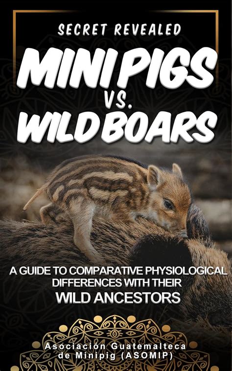 Mini Pigs Vs. Wild Boars Secret Revealed: A guide to comparative ...