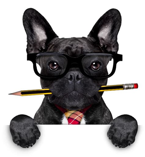 Image result for Web Design Development