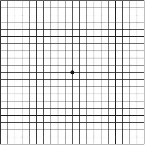 Large Printable Amsler Grid