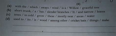 please reordering sentence - Brainly.in