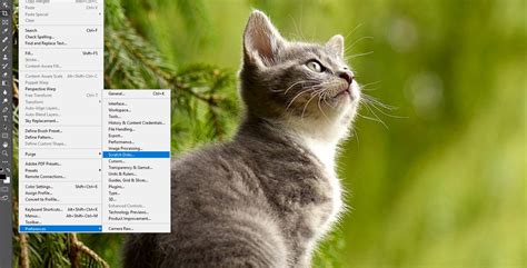 Image result for Photoshop Scratch Disk Error Message