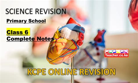 Class 6 Science Notes 的图像结果