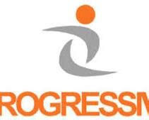 Image result for Progressive Insurance Org Chart