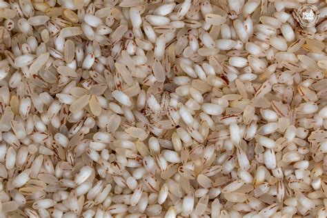 South Indian Staples – OOO Farms