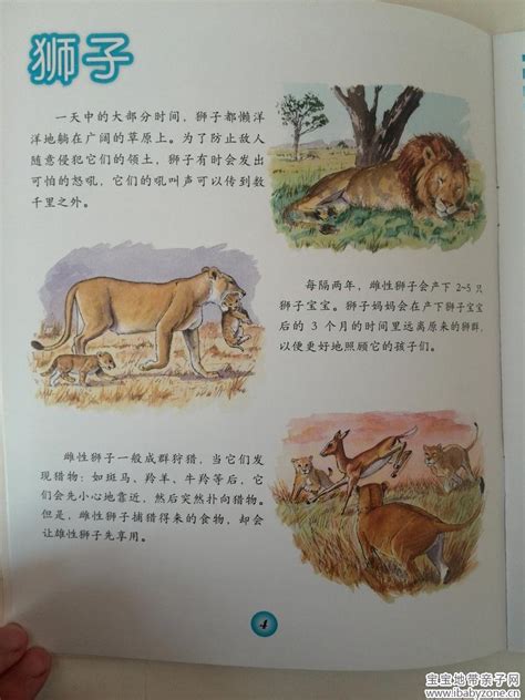我的第一套动物探索书之《热带草原上的动物们》 - 宝宝地带