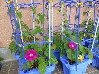 Image result for O2 Website My Device