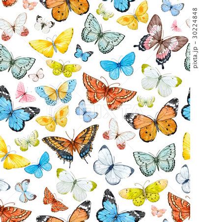 Watercolor butterfly patternのイラスト素材 [30224848] - PIXTA