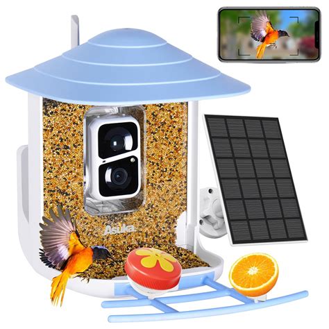Asuka Bird Feeder with Camera Solar Powered, Smart Bird Watching Camera ...