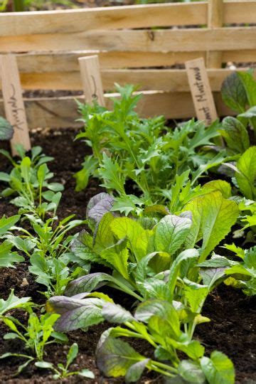 Image result for Soil Bio Technology