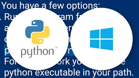 Python Script Window 的图像结果