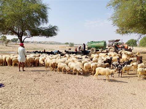 Development of our cluster in Rajasar, Rajasthan – Rangsutra