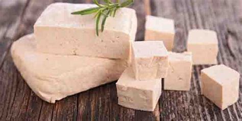 7 Expert Diet Tips to Strengthen Weak Bones | Nutripulse