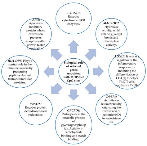 A Predictive Tool Based on DNA Methylation Data for Personalized Weight ...